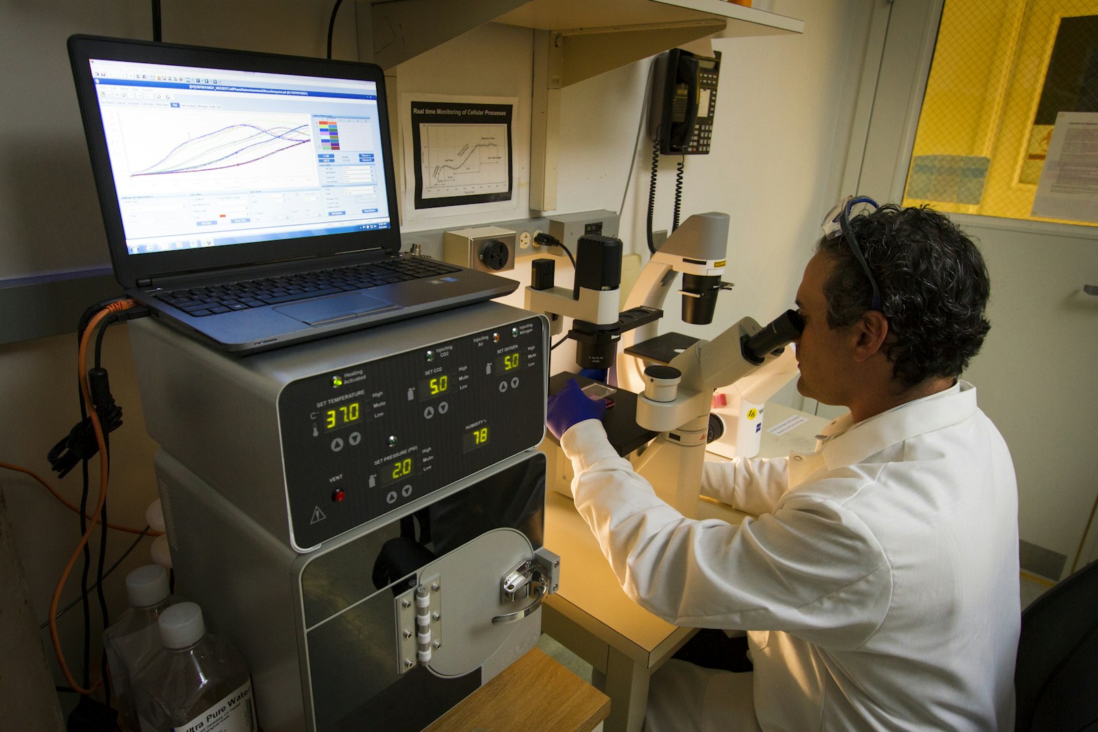 A lab technician in a white coat looks through a microscope beside a laptop showing data charts A lab technician in a white coat looks through a microscope beside a laptop showing data charts