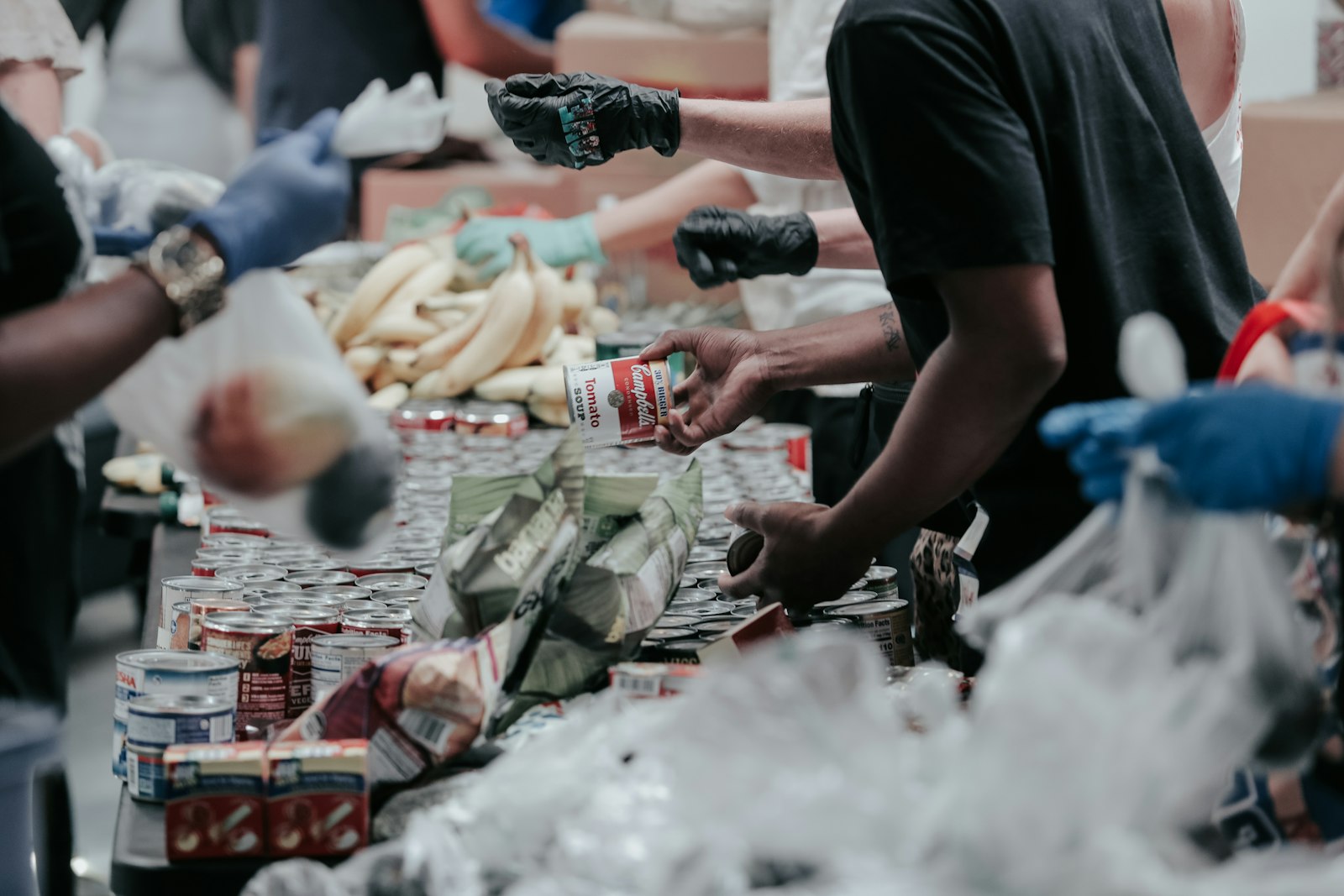 Volunteers in gloves sorting canned food and bananas along a long table Volunteers in gloves sorting canned food and bananas along a long table