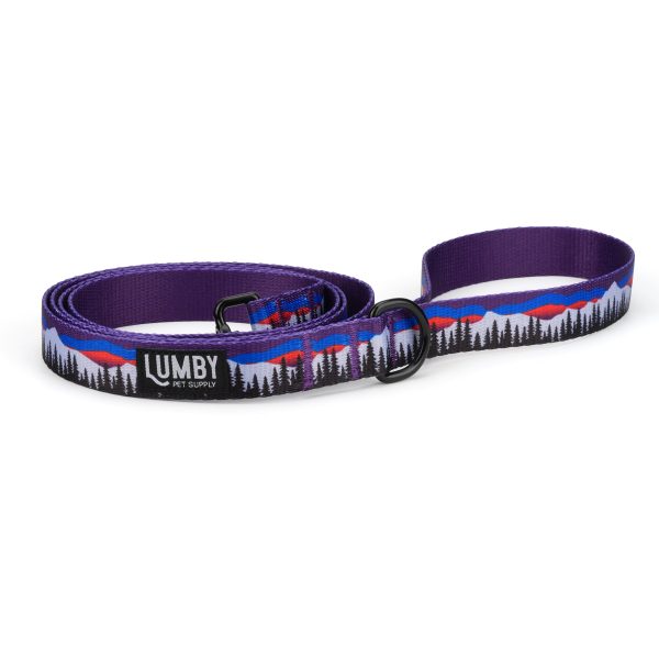 Denali Dog Leash — Matching Printed Dog Leash with Swivel Clip