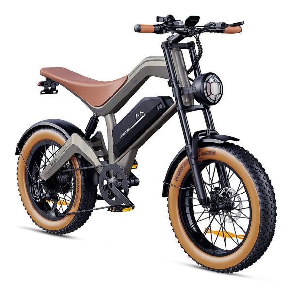Zonveer M20 All-Terrain Long-Range Electric Bike