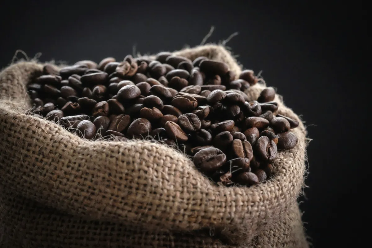 Dark roasted coffee beans spilling from an open burlap sack