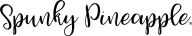 Spunky Pineapple logo