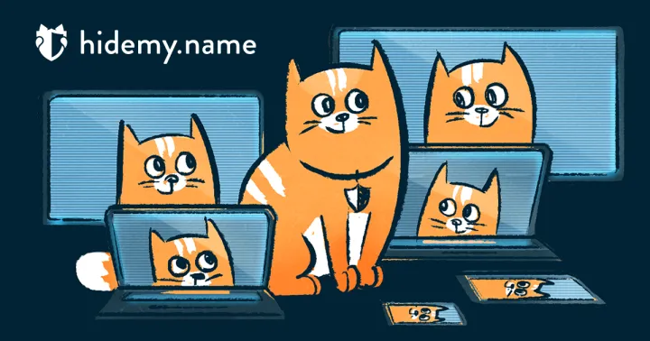 hidemy.name logo