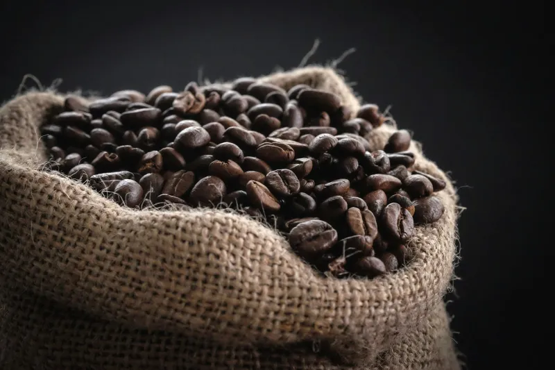 Dark roasted coffee beans spilling from an open burlap sack