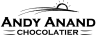Andy Anand logo